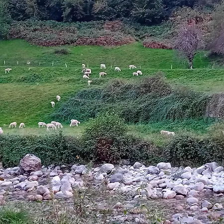 Apartamento Sur Le Gr10 Et Autres Sentiers à Aulus-les-Bains